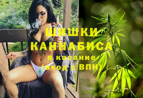 сатива Аркадак