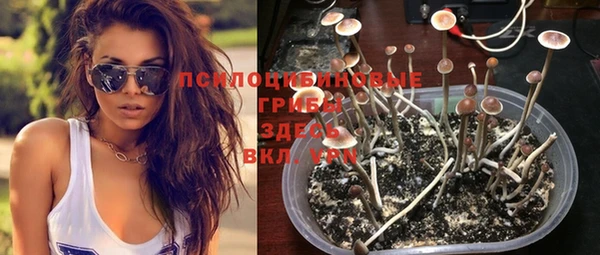 Альфа ПВП Балабаново