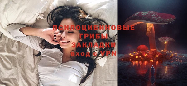 сатива Аркадак
