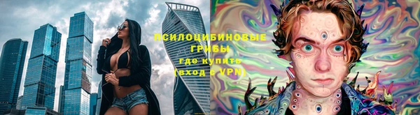 сатива Аркадак