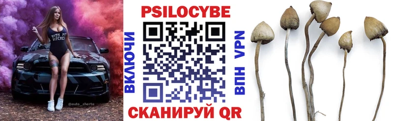 Галлюциногенные грибы Psilocybine cubensis  Орлов 