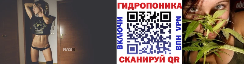 Каннабис MAZAR Орлов